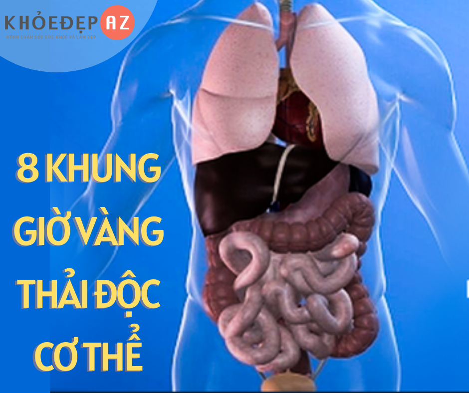 [ĐỪNG QUÊN] 8 KHUNG GIỜ VÀNG THẢI ĐỘC CƠ THỂ TRÁNH BỆNH TẬT