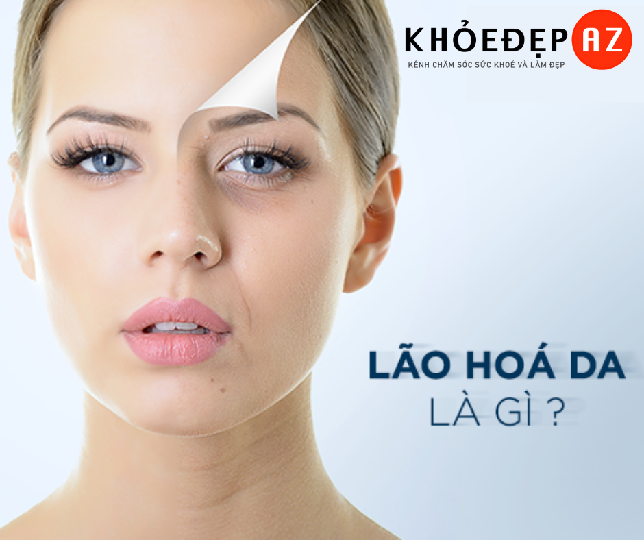 [BẬT MÍ] Nguyên Nhân, Dấu Hiệu Nhận Biết Và Cách Chống Lão Hóa Da Hiệu Quả